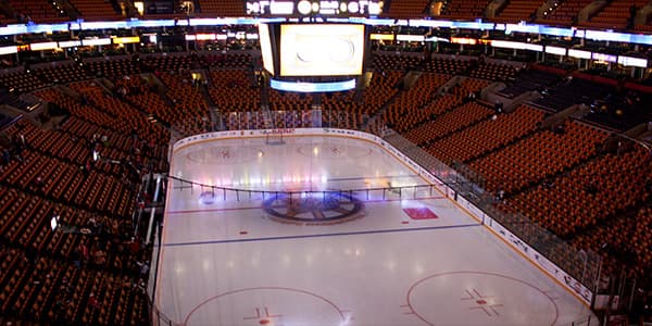 Image of Boston Bruins