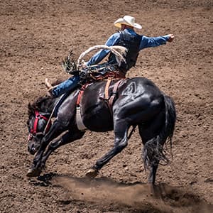 Image of Worlds Toughest Rodeo